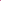 Plain Isdal Fuchsia